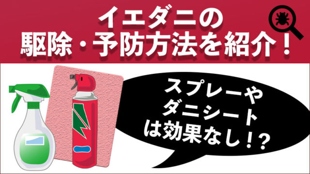 ダニは種類によって大きさが10倍違う!肉眼で見えるダニも!