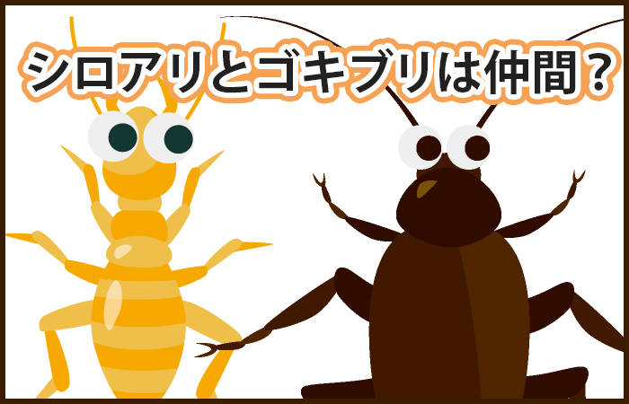 シロアリはゴキブリの仲間