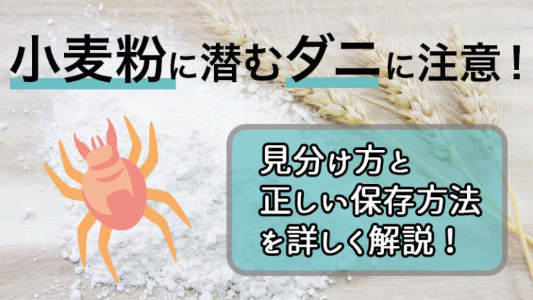 ダニとノミ、噛まれた跡や症状の違いを徹底解説!